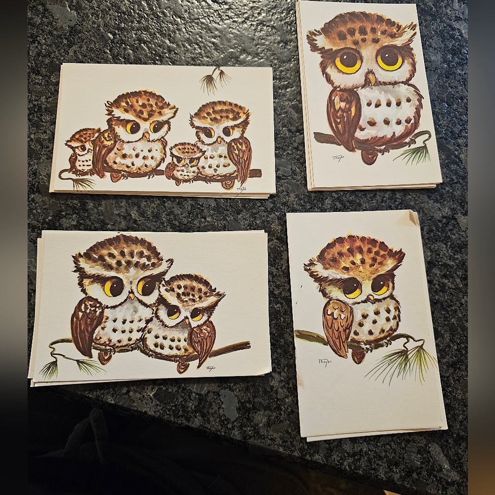 Vtg Thayer Kitschy Owls Big Eyes 16 Post Cards Picture Art 70's MCM Maine USA‎